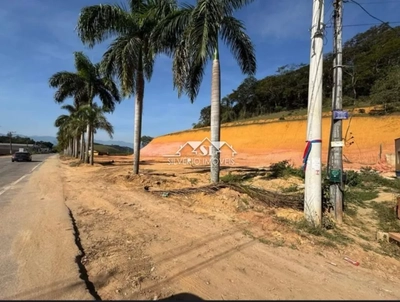 Terreno, 3 hectares - Foto 5