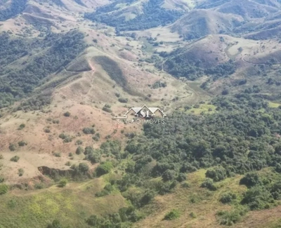 Fazenda-Sítio-Chácara, 460 hectares - Foto 2