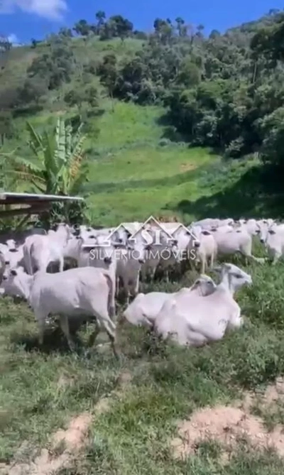 Fazenda, 152 hectares - Foto 1