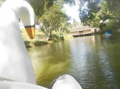 Fazenda-Sítio-Chácara, 65 quartos - Foto 1