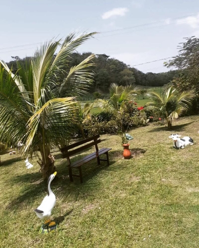 Casa, 5 quartos, 1040 m² - Foto 5