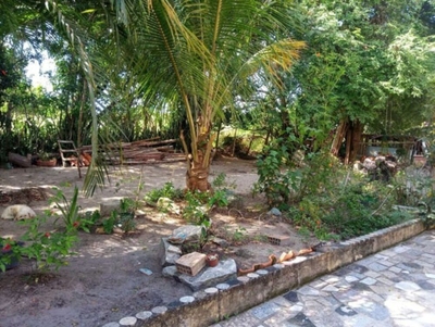 Sítio, 3 quartos - Foto 1