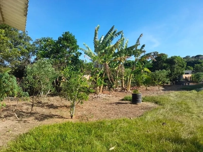 Sítio, 2 quartos - Foto 3