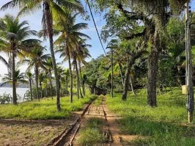 Sítio, 6 quartos - Foto 1