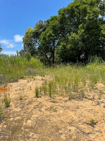 Terreno, 459 m² - Foto 4