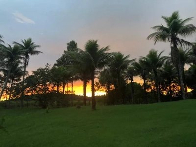 Sítio, 3 quartos - Foto 2