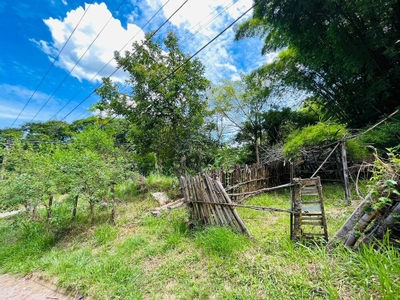 Sítio, 2 quartos - Foto 4