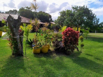 Sítio, 4 quartos - Foto 4