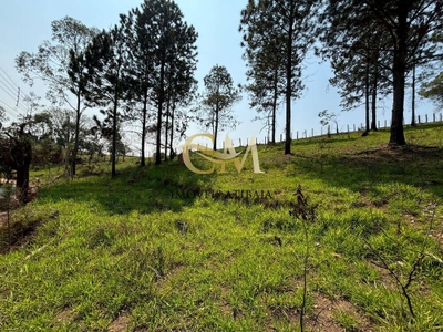 Terreno, 1190 m² - Foto 1