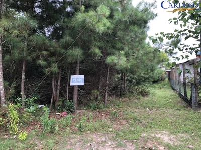 Terreno, 300 m² - Foto 2