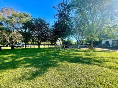 Chácara, 2 quartos, 21 hectares - Foto 3