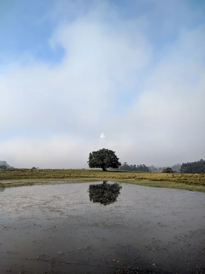 Chácara, 8 quartos, 29 hectares - Foto 2