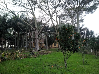 Chácara, 8 quartos, 29 hectares - Foto 4