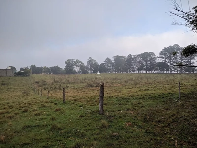 Chácara, 8 quartos, 29 hectares - Foto 5