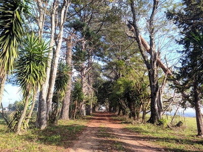 Chácara, 8 quartos, 29 hectares - Foto 3