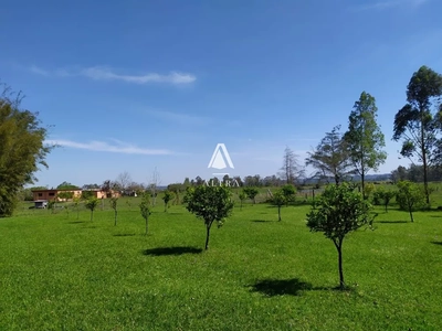 Chácara, 4 quartos, 2 hectares - Foto 4