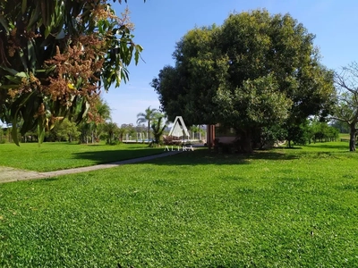 Chácara, 4 quartos, 2 hectares - Foto 5