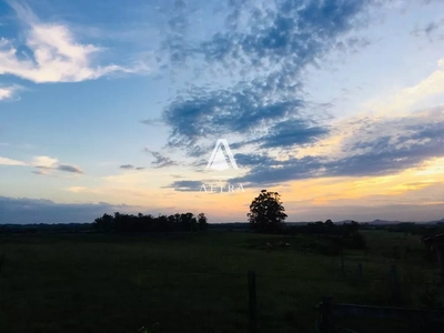 Chácara, 4 quartos, 2 hectares - Foto 3