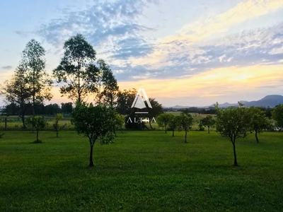 Chácara, 4 quartos, 2 hectares - Foto 2