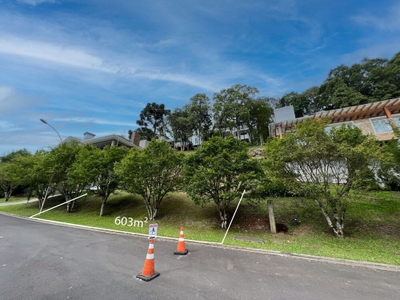 Terreno, 603 m² - Foto 4