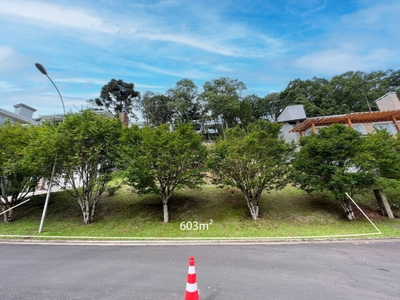 Terreno, 603 m² - Foto 3