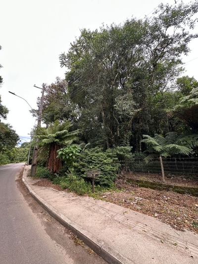 Terreno, 904 m² - Foto 4