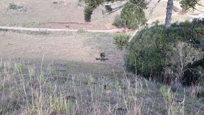 Chácara, 32 hectares - Foto 2