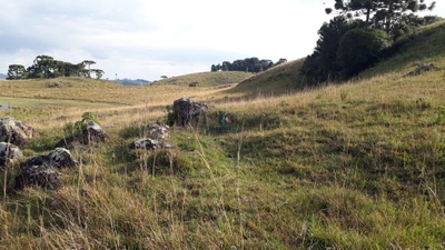 Chácara, 32 hectares - Foto 3