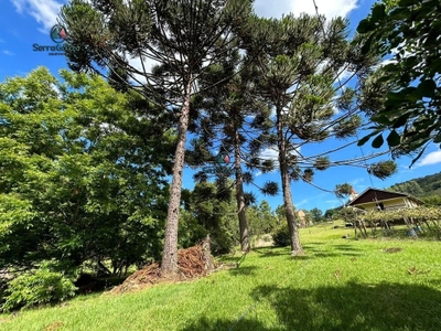 Sítio, 2 quartos, 10000 m² - Foto 4