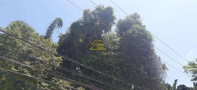 Terreno, 7000 m² - Foto 2