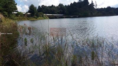 Terreno, 2 hectares - Foto 2