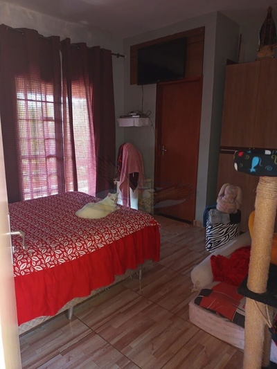 Chácara, 2 quartos, 1065 m² - Foto 3