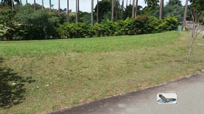 Terreno, 1000 m² - Foto 3