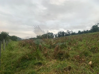 Sítio, 3 quartos, 16 hectares - Foto 3