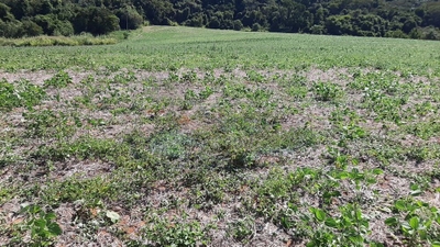 Loteamento e Condomínio, 16 hectares - Foto 2