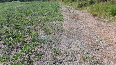 Loteamento e Condomínio, 16 hectares - Foto 4