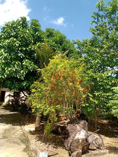 Casa, 3 quartos, 200 m² - Foto 4