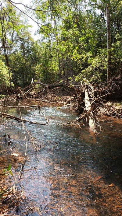 Fazenda-Sítio-Chácara - Foto 2