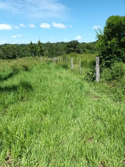 Fazenda-Sítio-Chácara - Foto 4