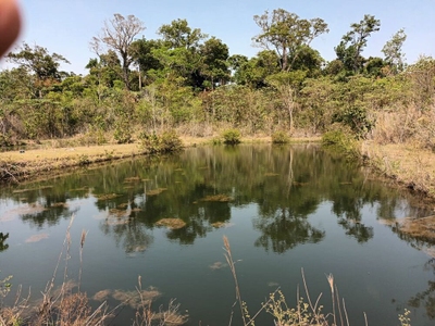 Fazenda-Sítio-Chácara - Foto 3