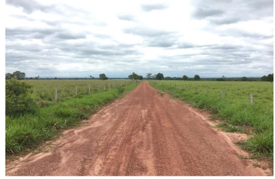 Fazenda-Sítio-Chácara - Foto 4