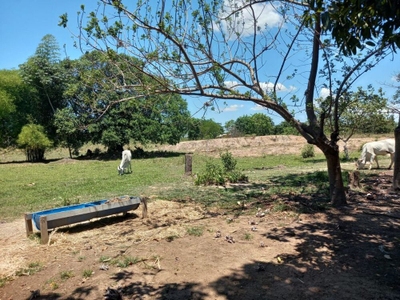 Sítio, 2 quartos - Foto 5