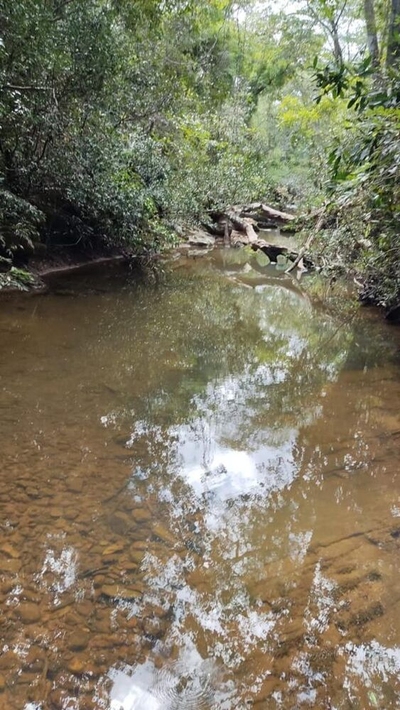 Sítio, 4 quartos, 156 m² - Foto 1