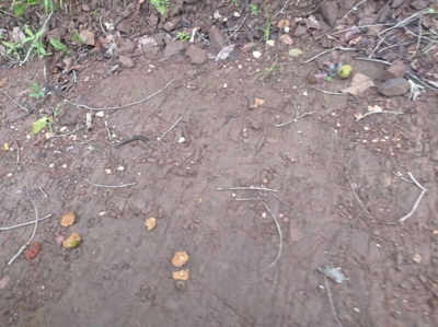 Fazenda, 3 quartos - Foto 3