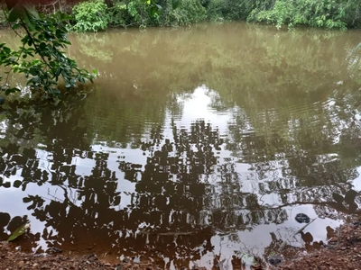 Fazenda-Sítio-Chácara, 3 quartos - Foto 5