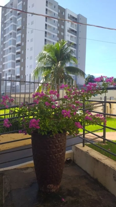 Apartamento, 3 quartos, 67 m² - Foto 2