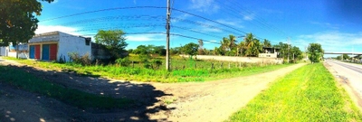 Terreno, 5000 m² - Foto 2