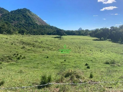 Fazenda-Sítio-Chácara, 24 hectares - Foto 4