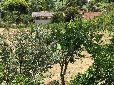 Sítio, 4 quartos, 6700 m² - Foto 5