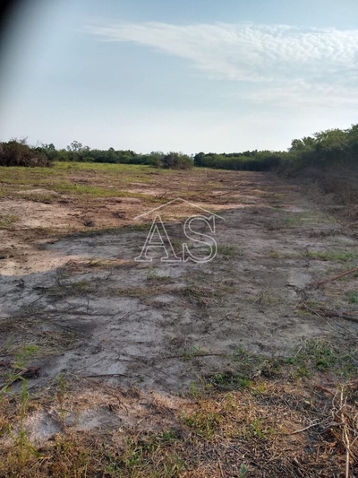 Terreno, 3 hectares - Foto 2